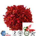 Polvo de chile rojo seco de alta calidad a bajo precio